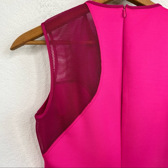 Clove Canyon Mesh Scuba Sheath Dress - Picture 4 of 7